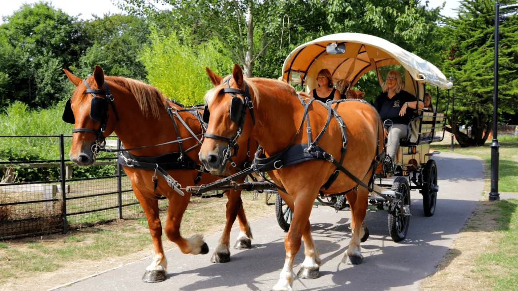 JGA Planwagen Tour Bremen